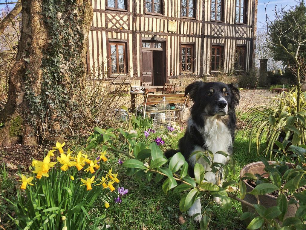 Le Petit Manoir De La Vernelle Bed & Breakfast Fourmetot Dış mekan fotoğraf
